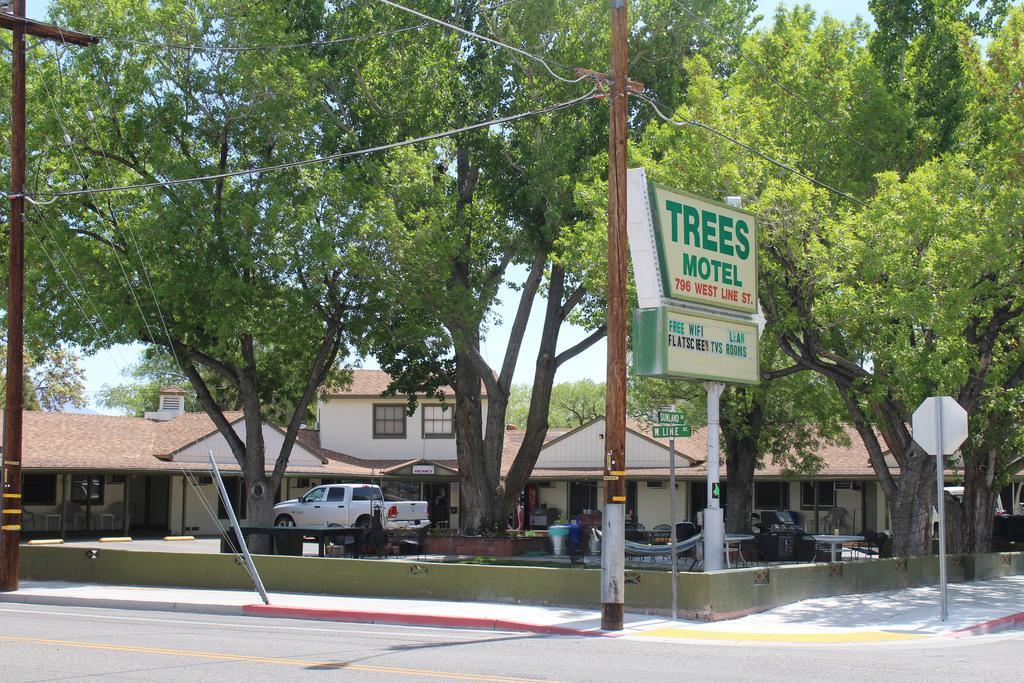 Trees Motel Бишъп Екстериор снимка