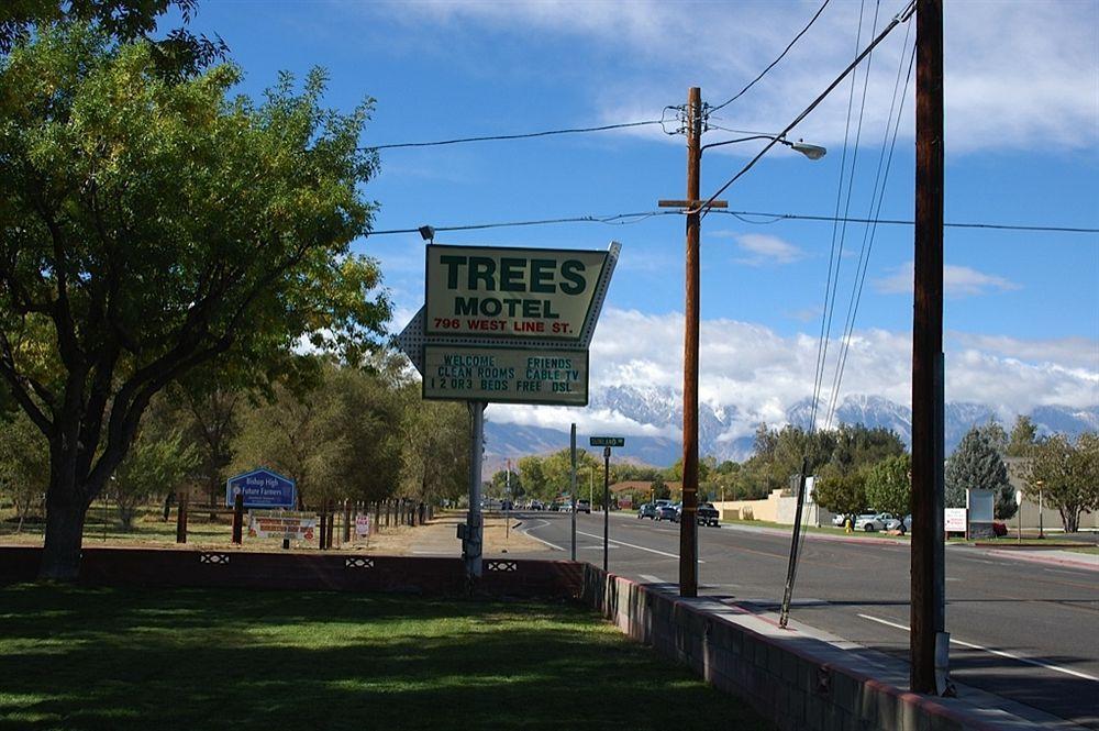 Trees Motel Бишъп Екстериор снимка